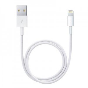 Огляд Дата кабель USB 2.0 AM to Lightning 0.5m Apple (ME291ZM/A): характеристики, відгуки, ціни.