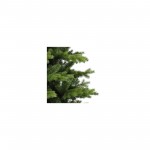 Огляд Штучна ялинка Triumph Tree Deluxe Sherwood зелена 2,60 м (8711473288445): характеристики, відгуки, ціни.