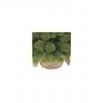 Огляд Штучна сосна Triumph Tree Forest Frosted зелена 0,9 м (8717669551881): характеристики, відгуки, ціни.