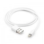 Огляд Дата кабель USB 2.0 AM to Lightning PVC 1m white Vinga (VCPDCL1W): характеристики, відгуки, ціни.