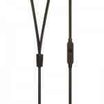 Огляд Навушники JBL T210 Black (JBLT210BLK): характеристики, відгуки, ціни.
