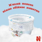 Огляд Підгузки Huggies Pants 5 Mega (12-17 кг) для хлопчиків 48 шт (5029053547619): характеристики, відгуки, ціни.