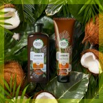 Огляд Кондиціонер для волосся Herbal Essences Кокосове молоко 275 мл (8001841436715/8006540099193): характеристики, відгуки, ціни.