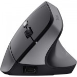 Огляд Мишка Trust Bayo 2 Ergonomic Wireless/USB-A Black (25145): характеристики, відгуки, ціни.