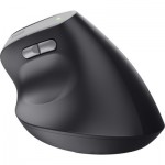 Огляд Мишка Trust Bayo 2 Ergonomic Wireless/USB-A Black (25145): характеристики, відгуки, ціни.