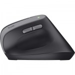 Огляд Мишка Trust Bayo 2 Ergonomic Wireless/USB-A Black (25145): характеристики, відгуки, ціни.