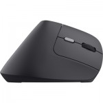 Огляд Мишка Trust Bayo 2 Ergonomic Wireless/USB-A Black (25145): характеристики, відгуки, ціни.