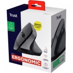 Огляд Мишка Trust Bayo 2 Ergonomic Wireless/USB-A Black (25145): характеристики, відгуки, ціни.