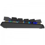 Огляд Клавіатура A4Tech FS100 RGB FS Switch USB Stone Black (4711422003925): характеристики, відгуки, ціни.