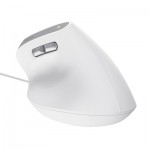 Огляд Мишка Trust Bayo II Ergonomic USB White (25397): характеристики, відгуки, ціни.