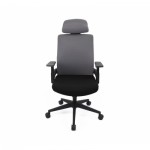 Огляд Офісне крісло Аклас Наос TILT Сірий (Сірий/Сірий) (10055395): характеристики, відгуки, ціни.
