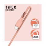 Огляд Дата кабель USB 2.0 AM to Type-C 1.2m AL-CBCOLOR-T1BK Peach ACCLAB (1283126518263): характеристики, відгуки, ціни.