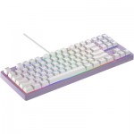 Огляд Клавіатура Hator Rockfall 2 Mecha TKL Orange USB Lilac (HTK-724): характеристики, відгуки, ціни.