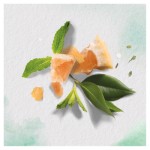 Огляд Шампунь Herbal Essences Білий грейпфрут та м’ята 400 мл (8006540318492): характеристики, відгуки, ціни.