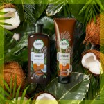 Огляд Шампунь Herbal Essences Кокосове молоко 400 мл (8006540318553): характеристики, відгуки, ціни.