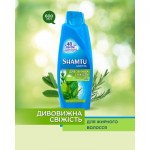 Огляд Шампунь Shamtu Глибоке Очищення та Свіжість 600 мл (4015100195767): характеристики, відгуки, ціни.