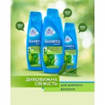 Огляд Шампунь Shamtu Глибоке Очищення та Свіжість 600 мл (4015100195767): характеристики, відгуки, ціни.