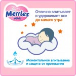 Огляд Підгузок Merries трусики для дітей S 4-8 кг 62 шт (558871): характеристики, відгуки, ціни.