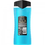 Огляд Гель для душу AXE Ice Chill 400 мл (8717163648667): характеристики, відгуки, ціни.