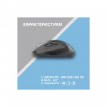 Огляд Мишка 2E MF250 Silent Wireless Black (2E-MF250WBK): характеристики, відгуки, ціни.