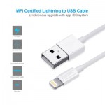 Огляд Дата кабель USB 2.0 AM to Lightning 1.2m 2.1A MFI White Choetech (IP0026-WH): характеристики, відгуки, ціни.