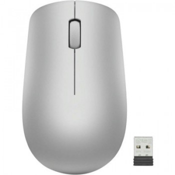 Мишка Lenovo 530 Wireless Platinum Grey (GY50Z18984)