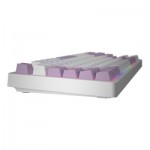 Огляд Клавіатура Hator Rockfall 2 Mecha Signature Edition USB White/White/Lilac (HTK-521-WWL): характеристики, відгуки, ціни.