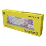 Огляд Клавіатура Hator Rockfall 2 Mecha Signature Edition USB White/White/Lilac (HTK-521-WWL): характеристики, відгуки, ціни.