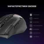 Огляд Мишка GamePro GM300B USB Black (GM300B): характеристики, відгуки, ціни.