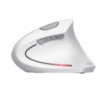 Огляд Мишка Trust Verto Ergonomic Wireless White (25132): характеристики, відгуки, ціни.