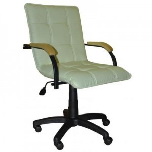 Огляд Офісне крісло Примтекс плюс Stella GTP Black Wood 1.007 S-82 Beige (Stella GTP black wood 1.007 S-82): характеристики, відгуки, ціни.