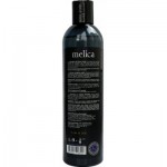 Огляд Шампунь Melica Black з екстрактом цибулі для пошкодженого волосся 300 мл (4770416003518): характеристики, відгуки, ціни.