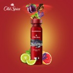 Огляд Дезодорант Old Spice Night Panther 150 мл (8006540377321): характеристики, відгуки, ціни.