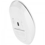 Огляд Мишка A4Tech FB12S Wireless/Bluetooth White (FB12S White): характеристики, відгуки, ціни.