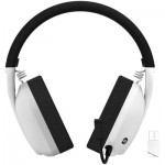 Огляд Навушники Canyon GH-13 Ego Wireless Gaming 7.1 White (CND-SGHS13W): характеристики, відгуки, ціни.