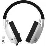 Огляд Навушники Canyon GH-13 Ego Wireless Gaming 7.1 White (CND-SGHS13W): характеристики, відгуки, ціни.