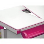 Огляд Парта Evo-kids стіл + шухляда + полиця) Pink (Evo-40 PN): характеристики, відгуки, ціни.