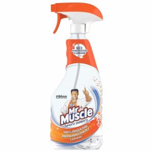 Огляд Спрей для чищення ванн Mr Muscle Нічого зайвого 500 мл (5000204159509): характеристики, відгуки, ціни.