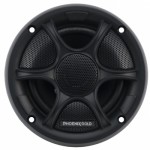 Огляд Коаксіальна акустика Phoenix Gold RX 4CX: характеристики, відгуки, ціни.
