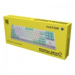 Огляд Клавіатура Hator Rockfall 2 Mecha Signature Edition USB White/White/Mint (HTK-521-WWM): характеристики, відгуки, ціни.