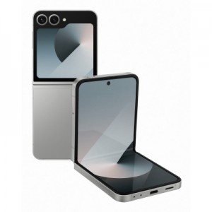 Мобільний телефон Samsung Galaxy Flip6 12/256Gb Silver Shadow (SM-F741BZSGSEK)