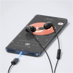 Огляд Навушники Xiaomi Type-C Earphones Black (1071791): характеристики, відгуки, ціни.