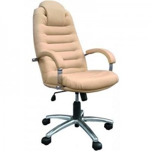 Огляд Офісне крісло Примтекс плюс Tunis P Steel Chrome H-17: характеристики, відгуки, ціни.