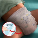 Огляд Підгузки Pampers Premium Care Pants Extra Large (15+ кг), 31 шт. (8001090759917): характеристики, відгуки, ціни.
