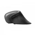 Огляд Мишка Trust Verro Ergonomic Wireless Black (23507): характеристики, відгуки, ціни.