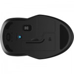 Огляд Мишка HP 250 Dual Wireless/Bluetooth Black (6V2J7AA): характеристики, відгуки, ціни.