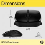 Огляд Мишка HP 250 Dual Wireless/Bluetooth Black (6V2J7AA): характеристики, відгуки, ціни.