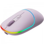 Огляд Мишка Canyon MW-22 Dual Band RGB Wireless Pearl Rose (CNS-CMSW22PR): характеристики, відгуки, ціни.