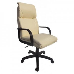 Огляд Офісне крісло Примтекс плюс Nadir H-17: характеристики, відгуки, ціни.