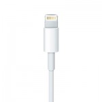 Огляд Дата кабель Apple Lightning to USB Cable, Model A1480, 1m (MXLY2ZM/A): характеристики, відгуки, ціни.